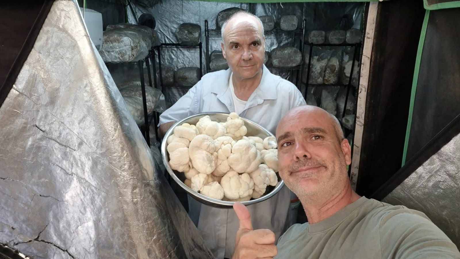 שלמה ודרור בחדר הגידול עם קערת רעמת האריה
